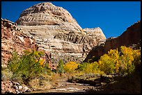 Capitol Dome in autumn. Capitol Reef National Park, Utah, USA. (color)