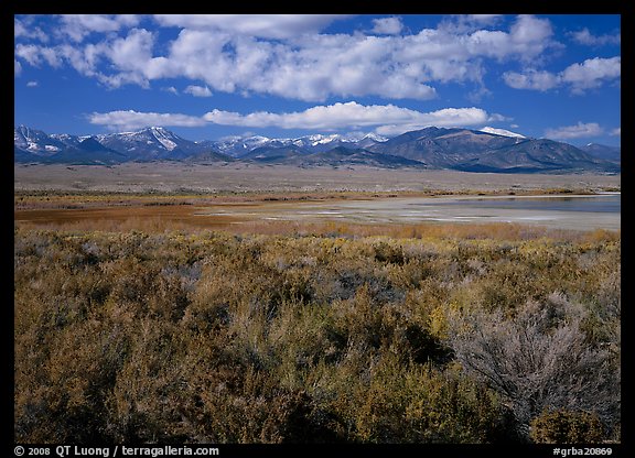 Snake Range raising above Sagebrush, seen from the East. Great Basin  National Park (color)