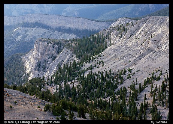Limestone cliffs near Mt Washington. Great Basin  National Park (color)