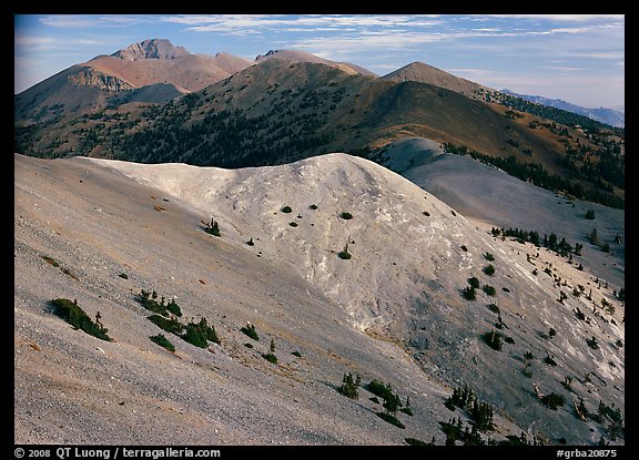 Wheeler Peak and Snake range seen from Mt Washington, morning. Great Basin  National Park (color)