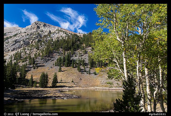 Aspen and Stella Lake. Great Basin National Park, Nevada, USA.