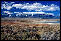 Pictures of Great Basin