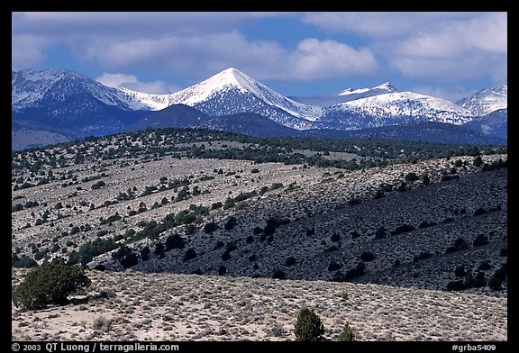 Fresh snow on the Snake range, seen from the foothills. Great Basin National Park (color)