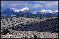 Fresh snow on the Snake range, seen from the foothills. Great Basin National Park, Nevada, USA.