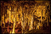 Delicate Stalactites and Stalagmites, the Swamp, Lehman Cave. Great Basin National Park ( color)