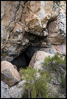 Entrance to Pictograph Cave. Great Basin National Park ( color)