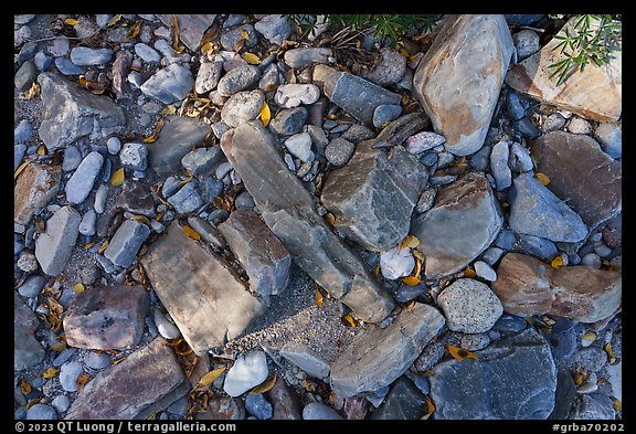 Close up of rocks in dry riverbed, Snake Creek. Great Basin National Park, Nevada, USA.