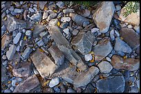 Close up of rocks in dry riverbed, Snake Creek. Great Basin National Park ( color)
