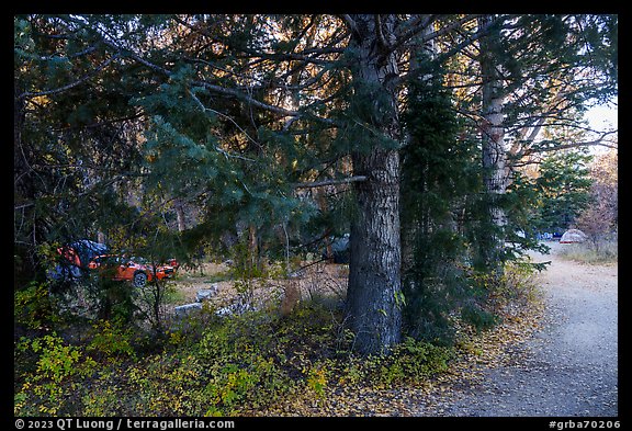 Campground along Snake Creek. Great Basin National Park (color)