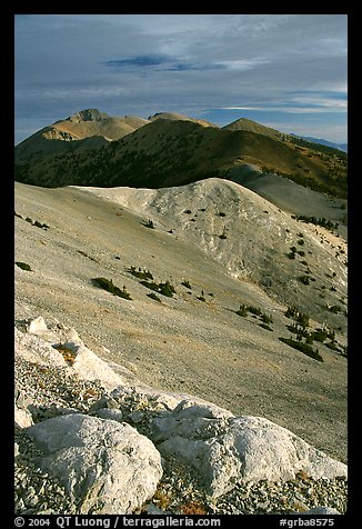 Wheeler Peak and Snake range seen from Mt Washington, morning. Great Basin National Park (color)