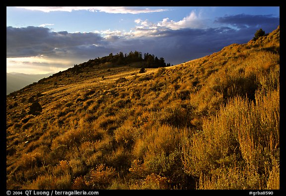 Sage covered slopes at sunset, Snake Range. Great Basin National Park, Nevada, USA.