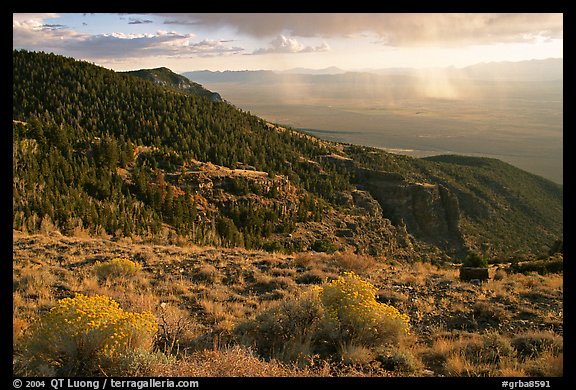 Sage covered slopes and Spring Valley. Great Basin National Park, Nevada, USA.