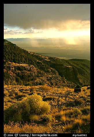 Sage covered slopes above Spring Valley. Great Basin National Park, Nevada, USA.