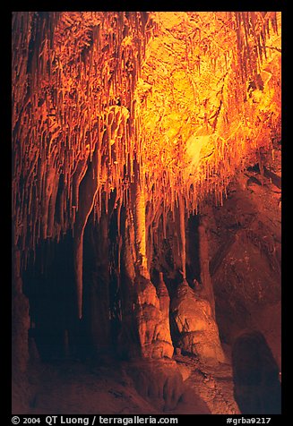 Soda Straws formations in Lehman Cave. Great Basin National Park (color)