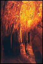 Soda Straws formations in Lehman Cave. Great Basin National Park, Nevada, USA.