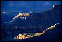 Ridges from Bright Angel Point, sunrise. Grand Canyon National Park, Arizona, USA.