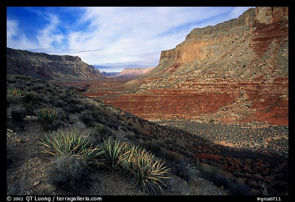 Havasu Canyon, afternoon. Grand Canyon  National Park