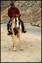 Havasu Indian on horse in Havasu Canyon. Grand Canyon National Park, Arizona, USA. (color)
