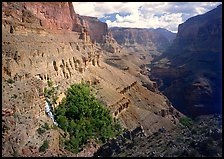 Thunder Spring Oasis at  mounth of Tapeats Creek secondary canyon. Grand Canyon National Park, Arizona, USA.