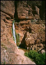 Deer Creek Falls. Grand Canyon  National Park ( color)