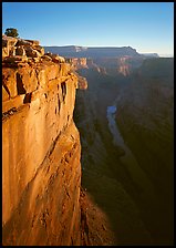 Cliff and Colorado River from Toroweap, sunrise. Grand Canyon National Park, Arizona, USA.