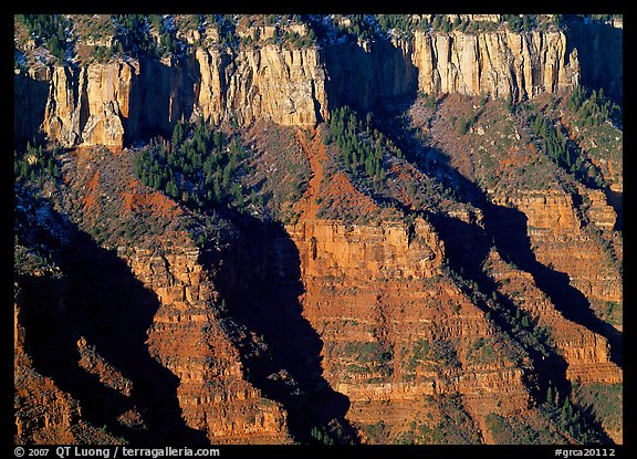 Canyon walls from Bright Angel Point, morning. Grand Canyon  National Park (color)