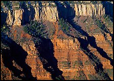 Canyon walls from Bright Angel Point, morning. Grand Canyon  National Park ( color)