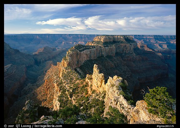 Wotans Throne seen from  North Rim, early morning. Grand Canyon National Park, Arizona, USA.