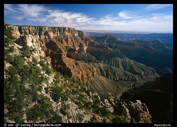 Rim near Cape Royal. Grand Canyon National Park, Arizona, USA.