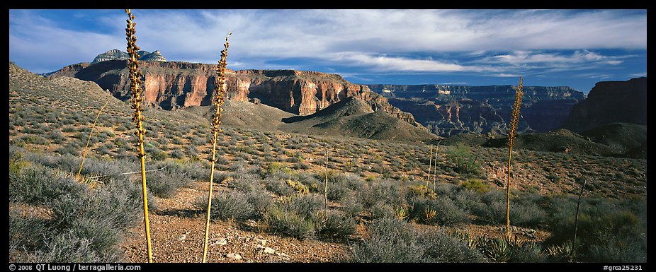 Inner Canyon scenery. Grand Canyon National Park, Arizona, USA.