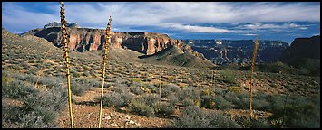 Inner Canyon scenery. Grand Canyon  National Park (Panoramic color)