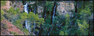 Oasis of trees and Thunder Spring fall. Grand Canyon  National Park (Panoramic color)
