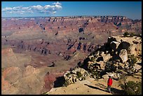 Visitor looking, Moran Point. Grand Canyon National Park, Arizona, USA. (color)