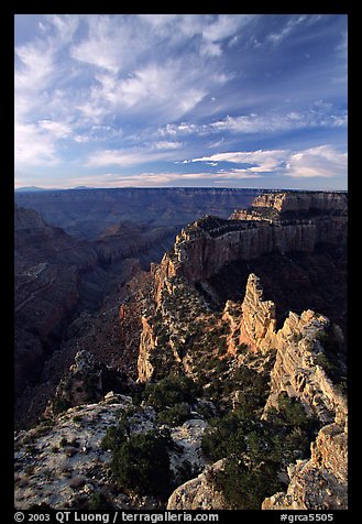 Wotan's Throne seen from Cape Royal, early morning. Grand Canyon National Park, Arizona, USA.