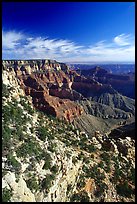 Cliffs near Cape Royal, morning. Grand Canyon National Park, Arizona, USA.