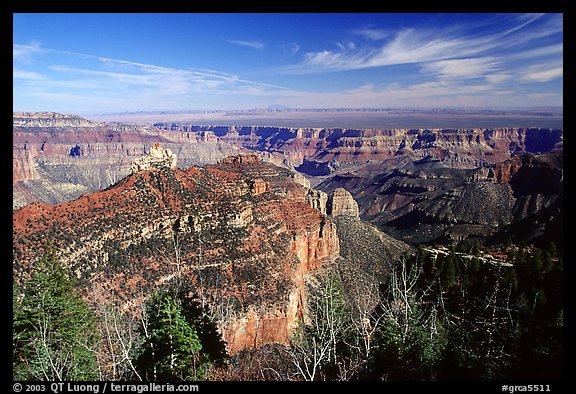View from Roosevelt Point, morning. Grand Canyon National Park, Arizona, USA.