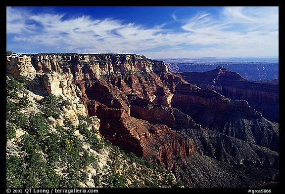 Rim near Cape Royal. Grand Canyon  National Park