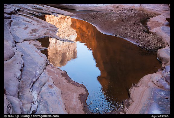Cliffs reflected in pool, North Canyon. Grand Canyon National Park (color)