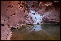 Reflection pool at base of sculpted spillway, North Canyon. Grand Canyon National Park, Arizona, USA.