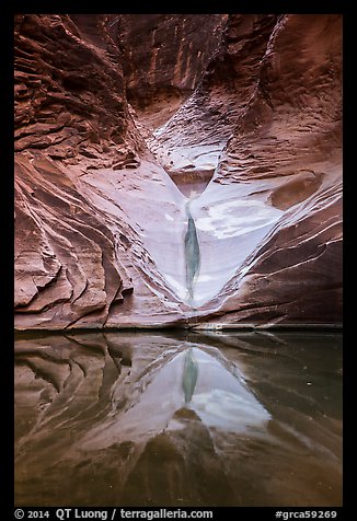 Sandstone spillway and reflection in pool, North Canyon. Grand Canyon National Park, Arizona, USA.