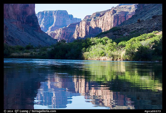 Cliffs and vegetation reflected in Colorado River, morning. Grand Canyon National Park, Arizona, USA.