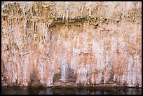 Salt stalagtites on riverside cliff. Grand Canyon National Park ( color)