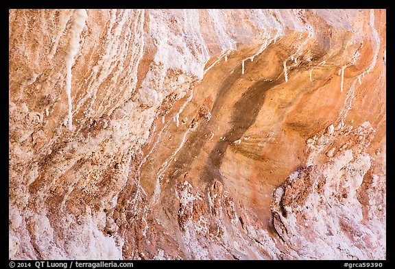 Alcove with salt stalagtites. Grand Canyon National Park, Arizona, USA.