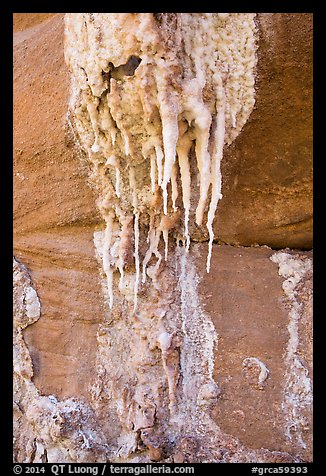 Close-up of salt stalagtites. Grand Canyon National Park, Arizona, USA.