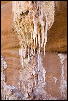 Close-up of salt stalagtites. Grand Canyon National Park ( color)
