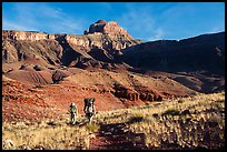 Backpackers, Escalante Route trail. Grand Canyon National Park ( color)