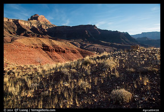 Dark plateau with sparse grasses, early morning. Grand Canyon National Park, Arizona, USA.