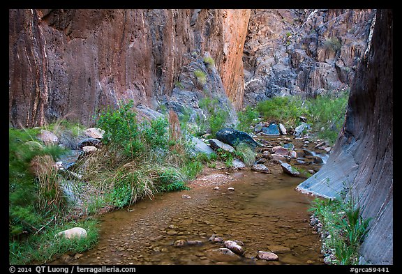 Stream and riparian environment, Clear Creek. Grand Canyon National Park, Arizona, USA.