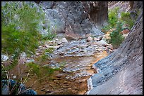 Gorge and riparian environment, Clear Creek. Grand Canyon National Park ( color)