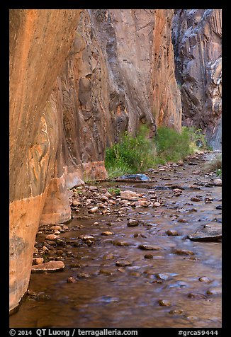 Rock walls and stream, Clear Creek gorge. Grand Canyon National Park, Arizona, USA.